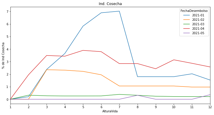 Gráfico de lineas